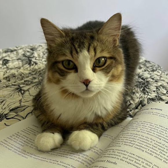 Meet your Posher, Daria - Picture 1 of 1